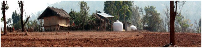 School Location